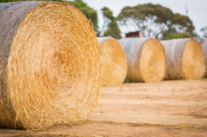 agricultural HD baling twine